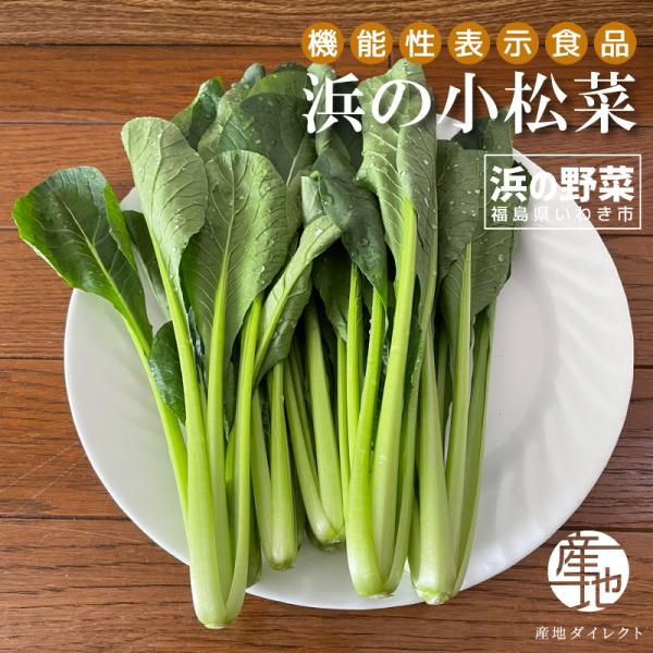 商品名: 【機能性表示食品】浜の小松菜 200g入り×5袋 福島県いわき市「浜の野菜」商品詳細名称：浜の小松菜容量：200g×5袋原材料：小松菜（福島県産）生産者：浜の野菜（株）保存方法：冷蔵保存を推奨栄養成分表示150g当たり：エネルギー...