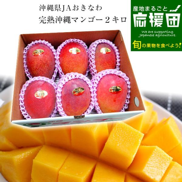 沖縄県より産地直送 JAおきなわ 完熟沖縄マンゴー 約2キロ (4玉から7玉入) 送料無料 まんごー アーウィン種 お中元 ギフト　from沖縄