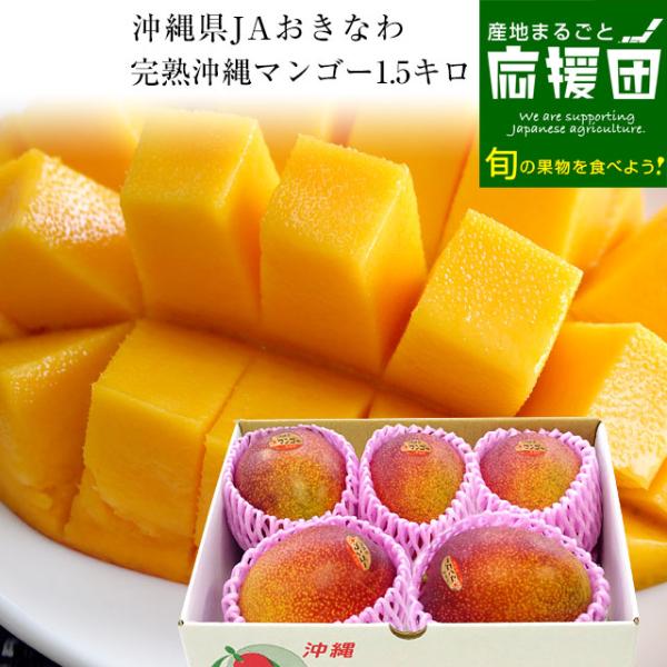 沖縄県より産地直送 JAおきなわ 完熟沖縄マンゴー 約1.5キロ (3玉から6玉入) 送料無料 まんごー アーウィン種 お中元 ギフト from沖縄