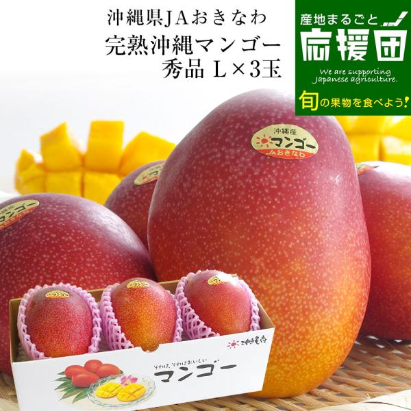 沖縄県より産地直送 JAおきなわ 完熟沖縄マンゴー 秀品 Lサイズ×3玉 合計900g (約300g×3玉) 送料無料 まんごー アーウィン種 お中元 ギフト from沖縄