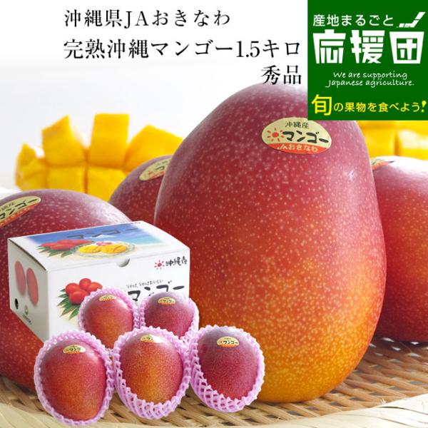 沖縄県より産地直送 JAおきなわ 完熟沖縄マンゴー 秀品 1.5キロ 2LからMサイズ（4玉から6玉入り） 送料無料 まんごー アーウィン種 お中元 ギフト from沖縄