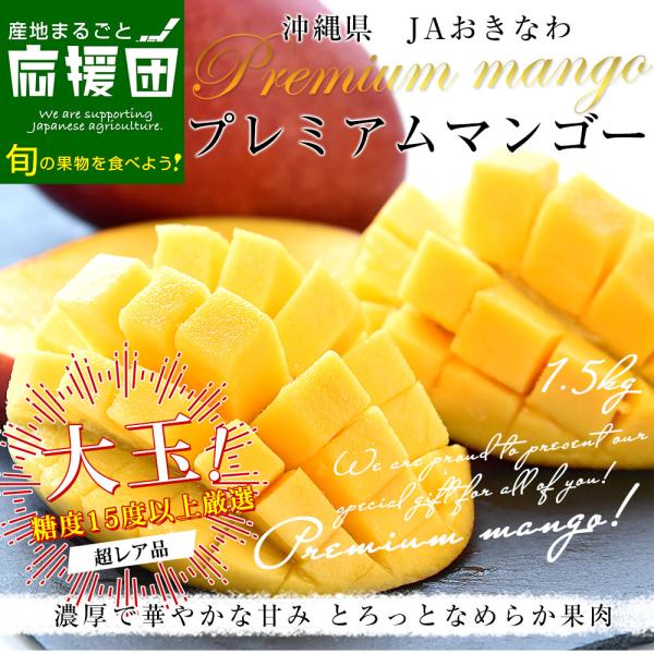 沖縄県より産地直送 JAおきなわ プレミアムマンゴー 赤秀品 大玉3Lから2Lサイズ 1.5キロ前後 （3玉から4玉入） 送料無料 沖縄マンゴー アーウィン種 お中元