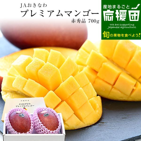 沖縄県より産地直送 JAおきなわ プレミアムマンゴー 赤秀品 大玉3Lから2Lサイズ 700g以上 （2玉入） 送料無料 沖縄マンゴーアーウィン種　お中元 ギフト