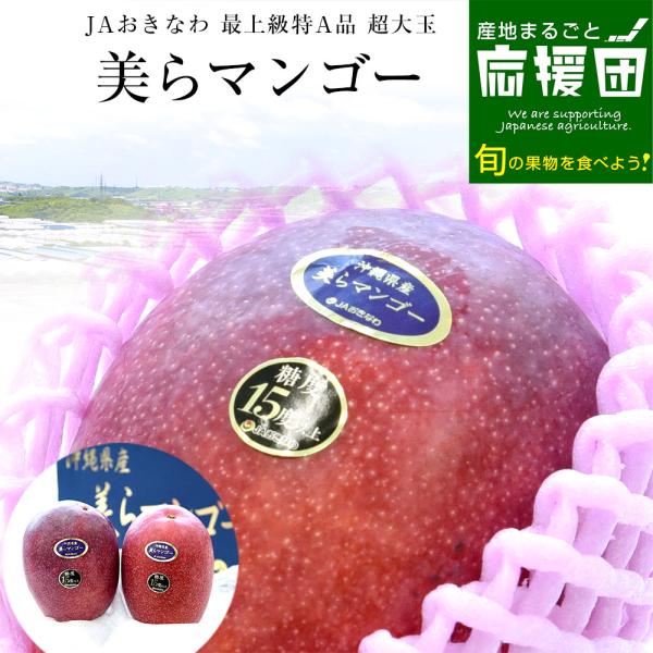 沖縄県より産地直送 JAおきなわ 美らマンゴー 最上級特A品 超大玉4Lから3Lサイズ 1キロ前後 (2玉入) 送料無料 アーウィン種　お中元 ギフト from沖縄