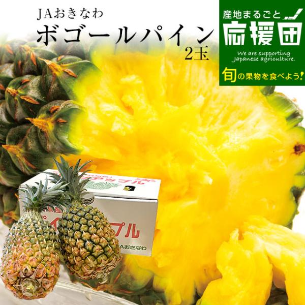 沖縄県より産地直送 JAおきなわ 沖縄県産 ボゴールパイン 2玉セット 合計2.4キロ前後 (1.2キロ×2玉) 送料無料 沖縄パイン パイナップル パインアップル