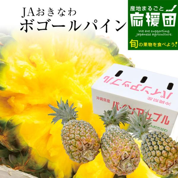 沖縄県より産地直送 JAおきなわ 沖縄県産 ボゴールパイン 3玉セット 合計1.8キロ前後 (600g×3玉) 送料無料 沖縄パイン パイナップル パインアップル
