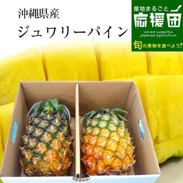 沖縄県より産地直送 JAおきなわ ジュワリーパイン2LからLサイズ2玉 (合計約2キロ) 沖縄パイン パイナップル 送料無料　クール便