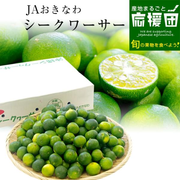 沖縄県から産地直送 JAおきなわ シークワーサー 約2キロ (約100玉前後)  送料無料 シークァーサー ジュース シークワーサーサワー