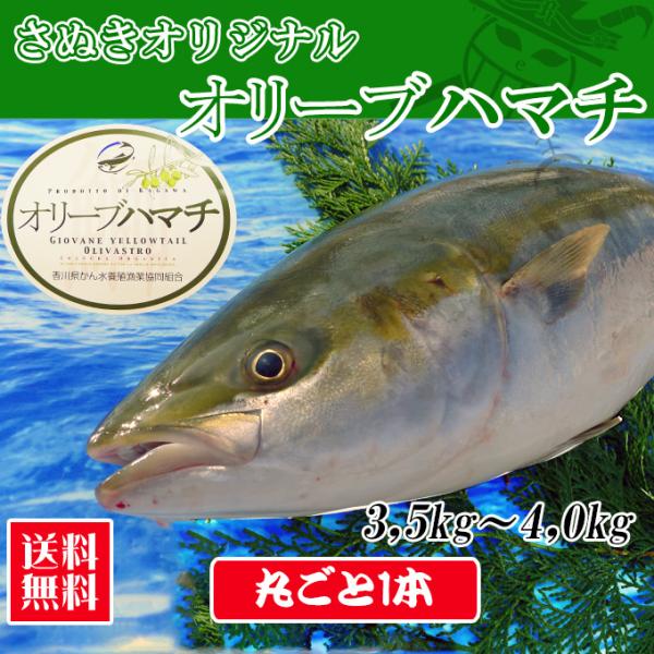 쌧Y I[un}`4kgTCY ۂ1{