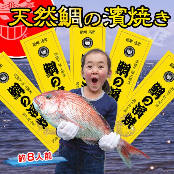 国内正規品 天然鯛の浜焼き8人前ギフト明石の天然鯛を秘伝の塩釜で焼き上げました 新作注目