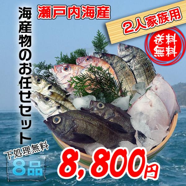 瀬戸内海産　海産物の詰め合わせ2人前8品セット　魚介類