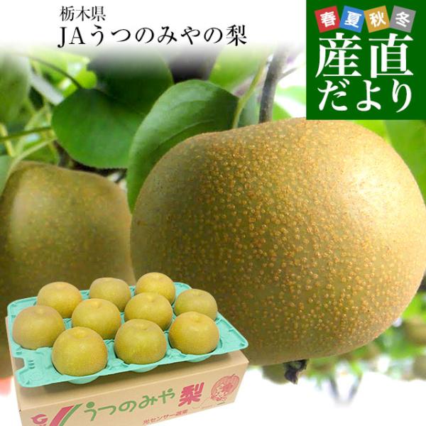栃木県より産地直送 JAうつのみやの梨 大玉限定 4Lサイズ以上 秀品 約5キロ (7玉から12玉) 送料無料 :114292050:産直だより - 通販 - Yahoo!ショッピング 栃木県より産地直送 JAうつのみやの梨 大玉限定 4Lサイズ以上 秀品 約5キロ (7玉から12玉) 送料無料 :114292050:産直だより - 通販 - Yahoo!ショッピング