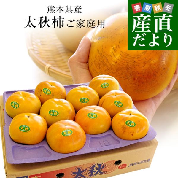 熊本県より産地直送 JAあしきた 太秋柿 3.5キロ（8玉から14玉） 送料無料 柿 かき