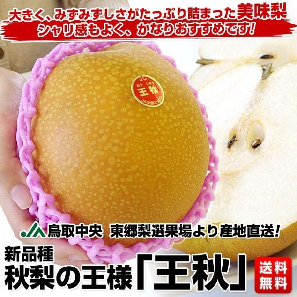 Ja鳥取中央 東郷梨選果場より産地直送 新品種 秋梨の王様 王秋 約3 5キロ 大玉5玉 4 500円 送料無料 産直だより 通販 Yahoo ショッピング