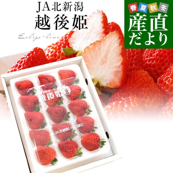 新潟県JA北新潟より産地直送します。商品名:いちご(越後姫)内容量:440gから470g産地:新潟県より甘く、より豊かな香りで、よりおいしく 果汁たっぷりのみずみずしい、 赤く輝く姿はまさにお姫さまのような愛らしさで登場です＜商品の規格・重...