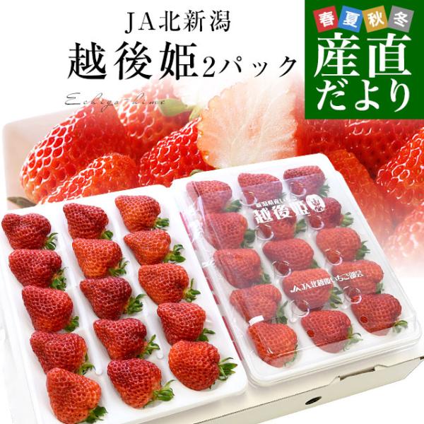 新潟県JA北新潟より産地直送します。商品名:いちご(越後姫)内容量:440gから470g×２p産地:新潟県より甘く、より豊かな香りで、よりおいしく 果汁たっぷりのみずみずしい、 赤く輝く姿はまさにお姫さまのような愛らしさで登場です＜商品の規...