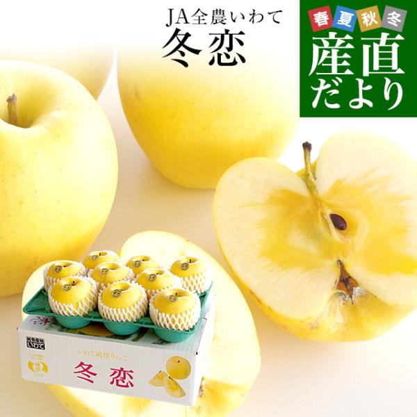 岩手県より産地直送 JA全農いわて いわて純情りんご 冬恋（品種