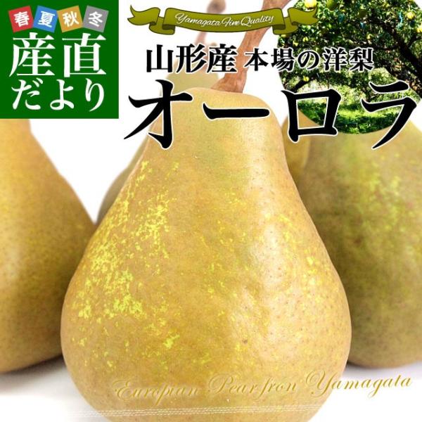 送料無料 山形県より産地直送 本場の洋梨 オーロラ 約５キロ 10玉から15玉 洋ナシ 洋なし 産直だより 通販 Yahoo ショッピング