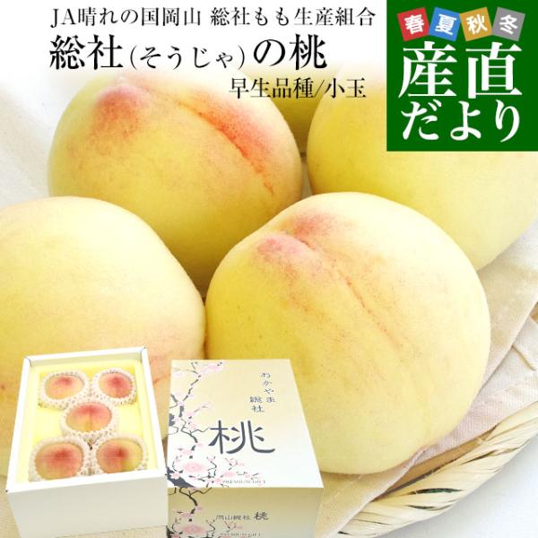岡山県から産地直送 JA晴れの国岡山 総社もも生産組合 総社(そうじゃ