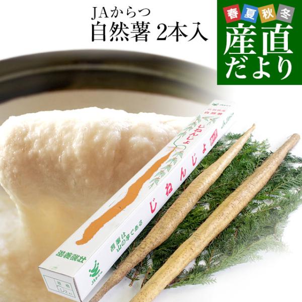 商品、引取完了済み。 本物、天然山芋の自然薯❗ 2日間の限定販売‼️