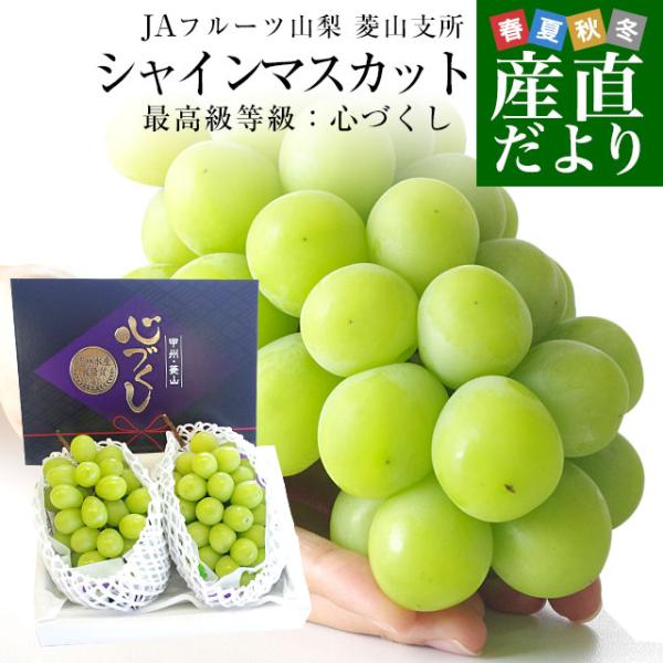 山梨県より産地直送 JAフルーツ山梨 菱山支所 シャイン 山梨県より産地直送 JAフルーツ山梨 菱山支所 シャイン