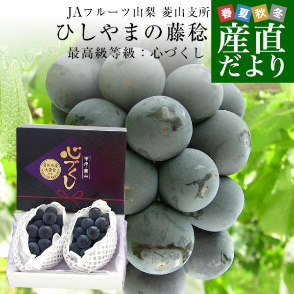 クール便　山梨県　巨峰4房+藤稔4房 クール便】藤稔（約1.4kg以上）2房ギフト - 桃と葡萄の専門店