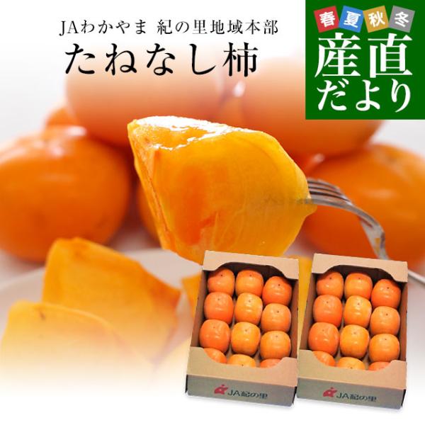 和歌山県より産地直送 JAわかやま 紀の里地域本部 たねなし柿 合計4キロ 2キロ×2箱 (10玉から12玉入り×2箱) カキ かき 柿 送料無料