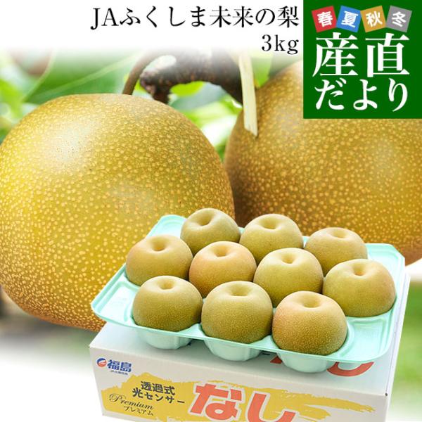 s-3 千葉県産 豊水梨 加工用 10kg (5kg×2)