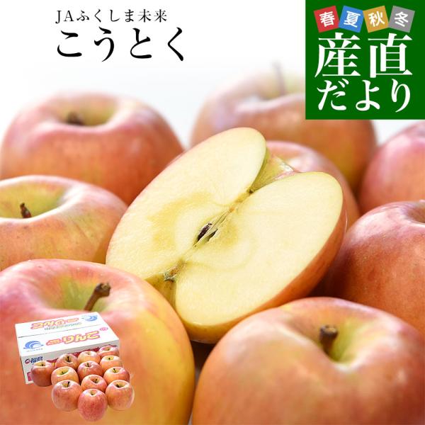 福島県より産地直送 JAふくしま未来 こうとく 秀品 約2.8キロ(10玉から12玉) 送料無料 林檎 リンゴ