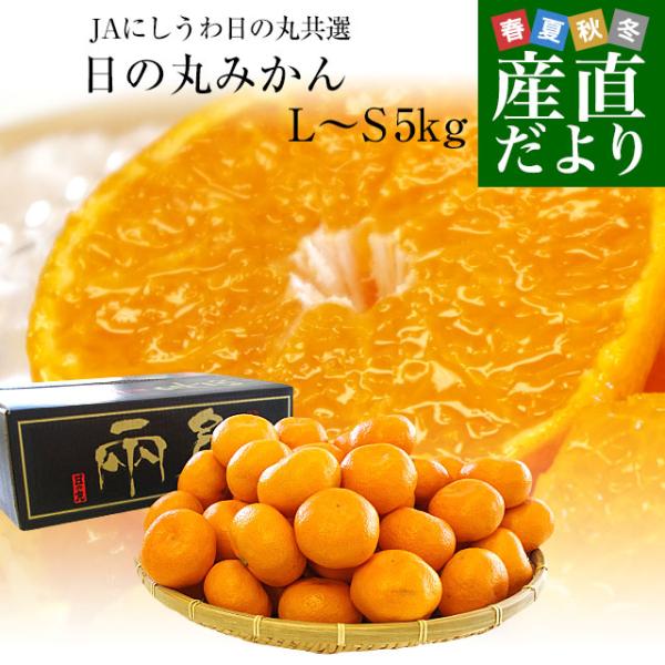 JAにしうわ日の丸共選または東京大田市場より発送します。商品名：日の丸みかん　LからSサイズ産地：愛媛県内容量：約5キロ（40玉から60玉前後）質実ともに日本みかんの最高峰の一つ！果皮が薄くジューシーで、じょうのう（内袋）が柔らかく、柔らか...
