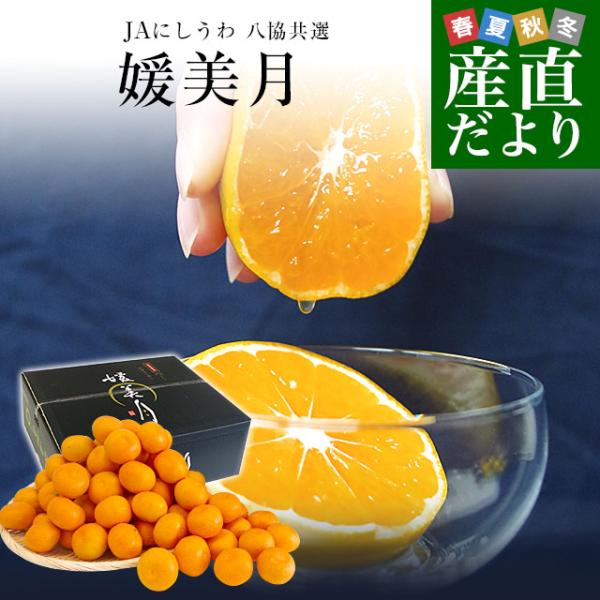 みかん様 しずおか夢工房 静岡温室メロン＆ハウスみかん: ギフト | アピタ