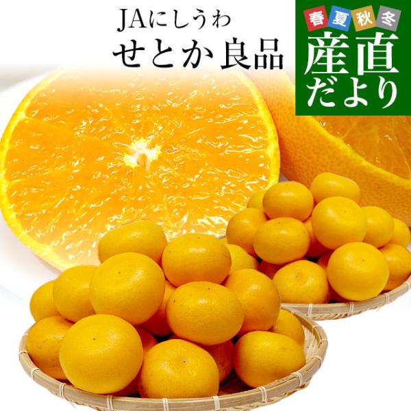 愛媛県より産地直送 JAにしうわ せとか 良品 2LからMサイズ 5