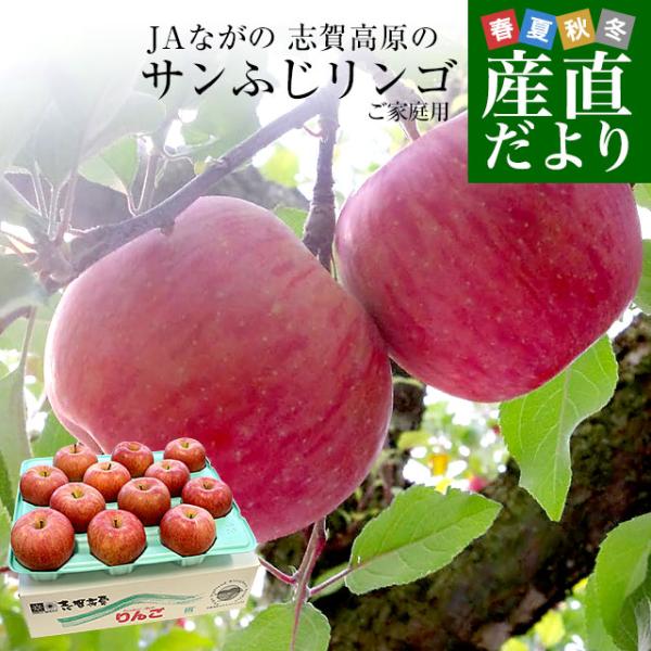 長野県産 JAながの 志賀高原のサンふじリンゴ ご家庭用 約5キロ (12玉