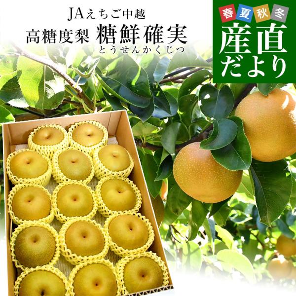 新潟県より産地直送 JAえちご中越 高糖度梨「糖鮮確実 (とうせんかくじつ)」 糖度13度以上 優品以上 約５キロ (9玉から14玉) なし ナシ 送料無料