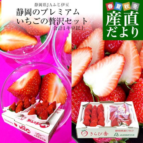 静岡県JAふじ伊豆より産地直送します。商品名：いちご（紅ほっぺ）＋（きらぴ香）内容量：約1040g（260g×4パック）原産地：静岡県とってもとっても美味しいいちご達！「甘み」と「香り」が楽しめる贅沢セットです。＜商品の規格・重量などについ...