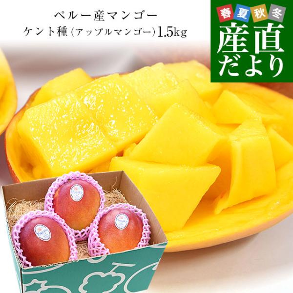 ペルー産 アップルマンゴー ケント種 約1.3キロ（3玉入） 送料無料 マンゴー トロピカルフルーツ 爆買