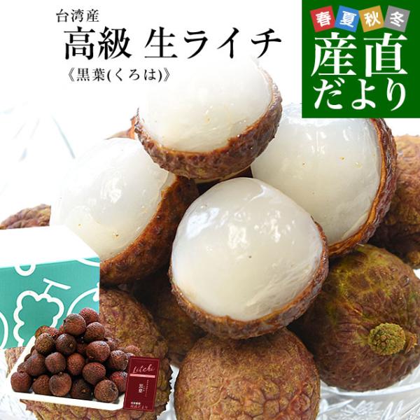 台湾産 高級 生ライチ 「黒葉（くろは）」約800g（400g×2入り） 送料無料 トロピカルフルーツ ※クール便