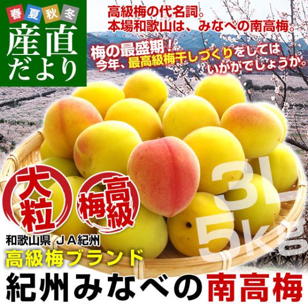和歌山県産 Ja紀州 みなべの南高梅 3lサイズ 5キロ 送料無料 市場発送 うめ ウメ なんこうばい 産直だより 通販 Yahoo ショッピング
