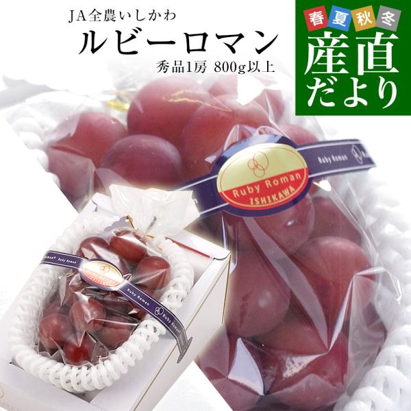 石川県産 JA全農いしかわ ルビーロマン 秀品 特大1房 800g以上 化粧箱入り 葡萄 ぶどう 送料無料 ※クール便爆買