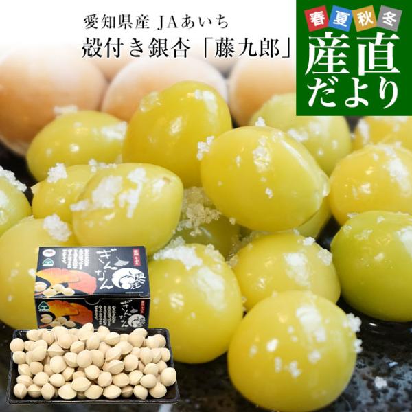 愛知県産 JAあいち 殻付き銀杏「藤九郎」 約500g（3Lから2L 110粒前後