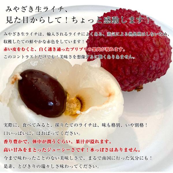 宮崎 JA宮崎経済連 みやざき生ライチ 420g化粧箱 2LからMサイズ（9玉