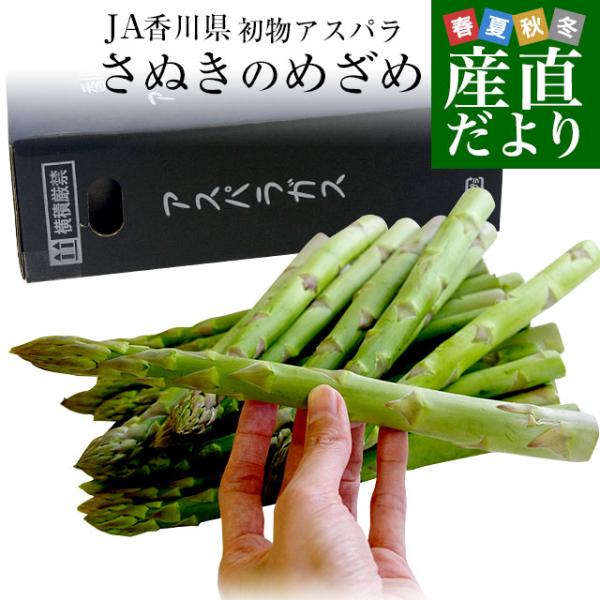 香川県JA香川県より産地直送します。名称:さぬきのめざめ(春芽・初物) 2Lサイズ以上内容量:約700g(目安として 14から25本前後)長さ:25センチ前後 原産地:香川県シャキシャキとした歯ごたえと爽やかな甘みが特徴で、従来のアスパラガ...