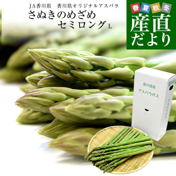 [Release date: February 15, 2026]香川県JA香川県より産地直送します。名称：さぬきのめざめ　セミロング　Lサイズ内容量：1キロ（22本から40本前後）長さ：30センチ前後　原産地：香川県シャキシャキとした歯ご...