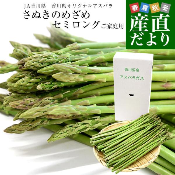 [Release date: February 15, 2026]香川県JA香川県より産地直送します。名称：さぬきのめざめ　セミロング　A（細）サイズ　ご家庭用内容量：1キロ（50本から100本前後）長さ：30センチ前後　原産地：香川県シャ...