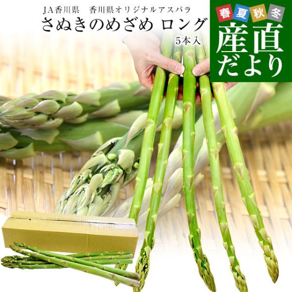 [Release date: February 15, 2026]香川県JA香川県より産地直送します。 商品名：さぬきのめざめロング内容量：5本入り（80g/本×5本）長さ：50センチ前後　原産地：香川県シャキシャキとした歯ごたえと爽やかな...