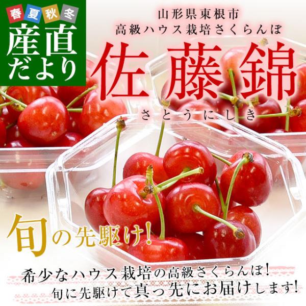 山形県より産地直送 温室栽培さくらんぼ 佐藤錦 秀品 合計300g ダイヤパック 3セット 100g 3p 送料無料 桜桃 さとうにしき クール便発送 産直だより 通販 Yahoo ショッピング