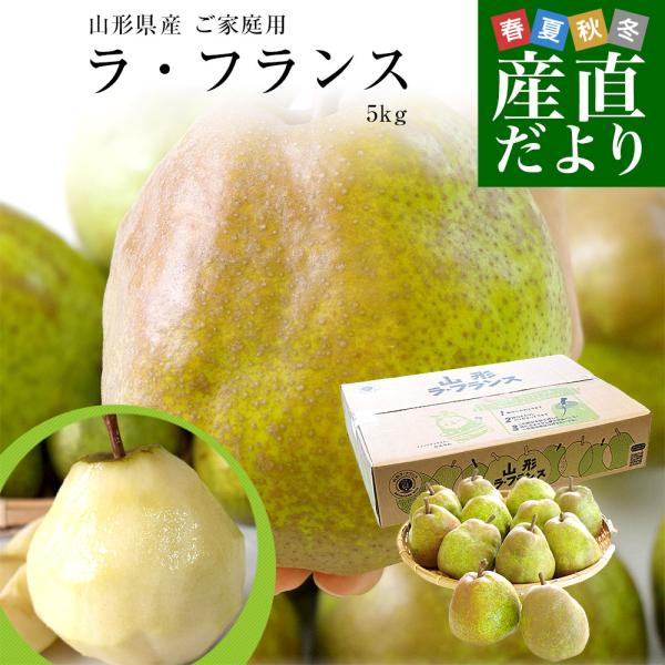 山形県産 ご家庭用ラフランス約5キロ（12玉から20玉）送料無料 ラ・フランス 洋なし 洋梨