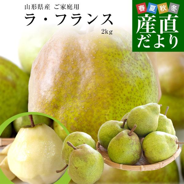 山形県産 ご家庭用ラフランス 約2キロ（5玉から8玉）送料無料 ラ・フランス 洋なし 洋梨