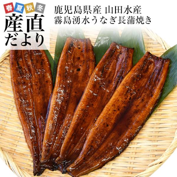やまちゃんさま専用 九州産うなぎ蒲焼２㎏（捌きミス・冷凍便） やまちゃんさま専用 九州産うなぎ蒲焼2㎏（捌きミス・冷凍便