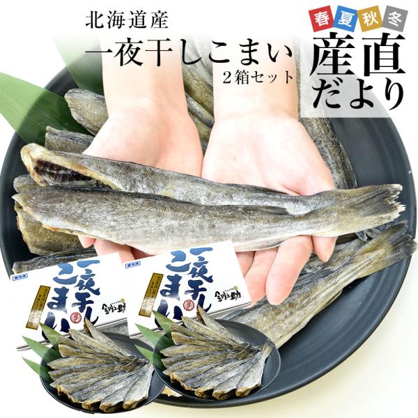 北海道産 一夜干しこまい 2Lサイズ 化粧箱 約500g（10尾前後）×2箱　合計約1kg 送料無料 氷下魚 コマイ ※クール冷凍便爆買